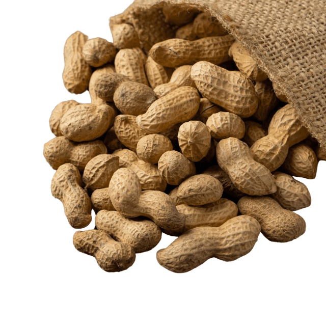 Ground Nuts (Peanuts)