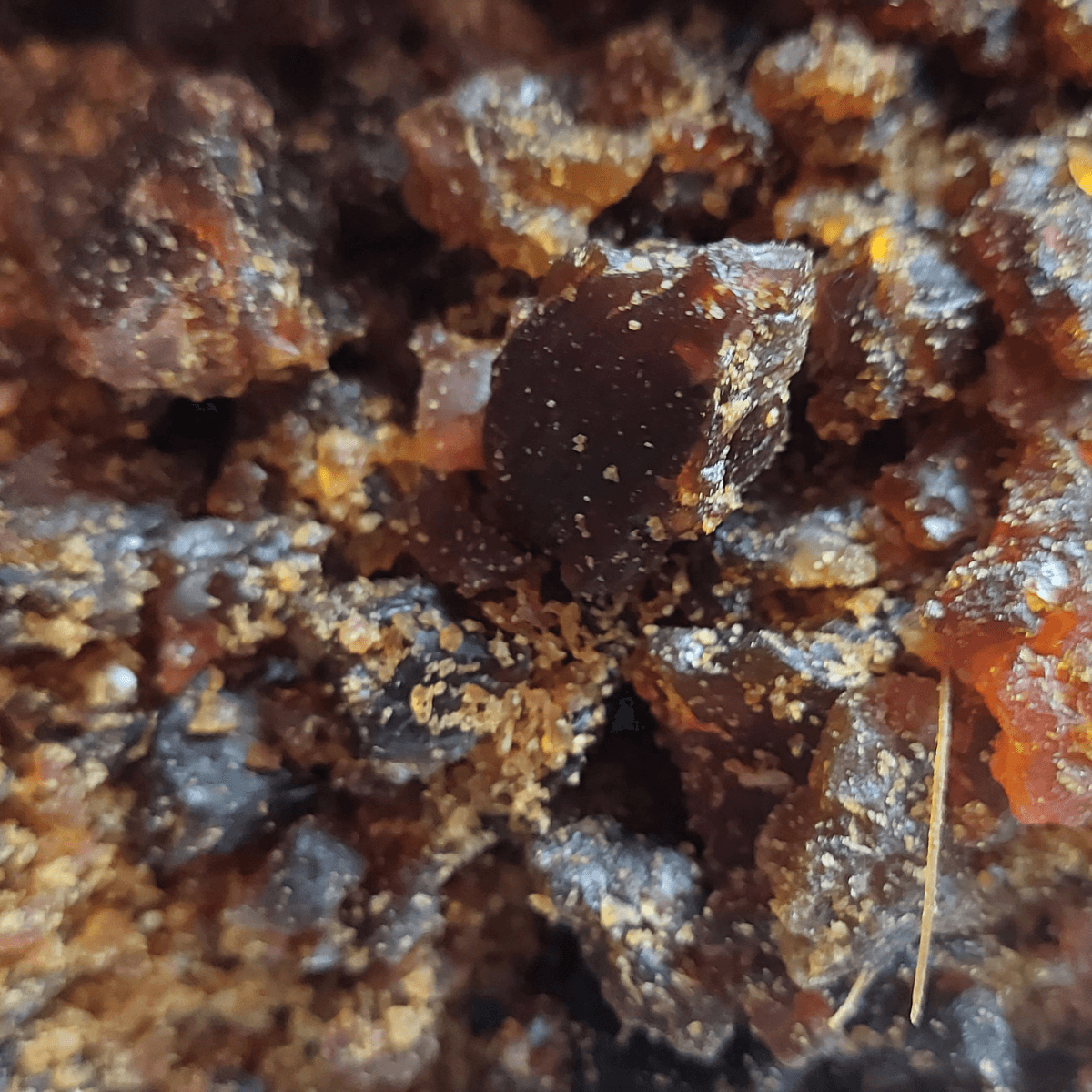 Irani Asafoetida - image 1