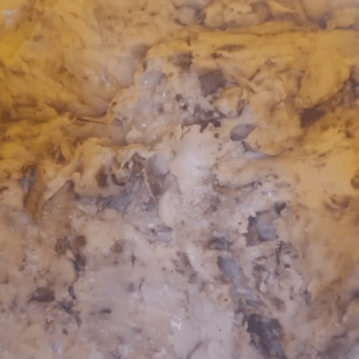 Mazari Asafoetida - image 3