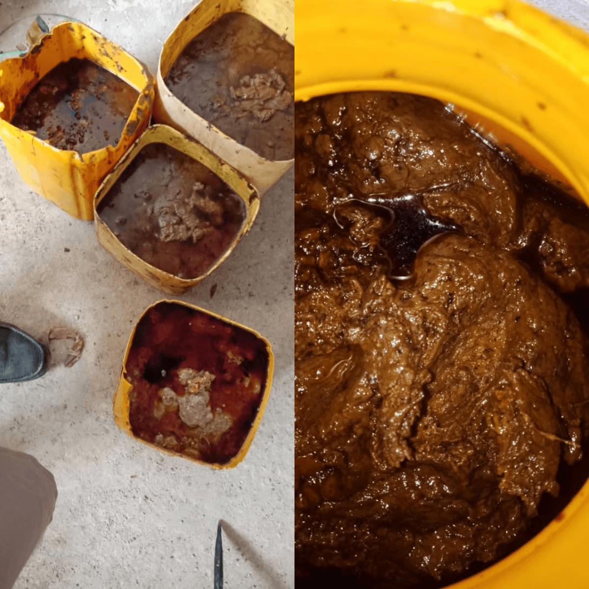 Tajiki Asafoetida - image 1