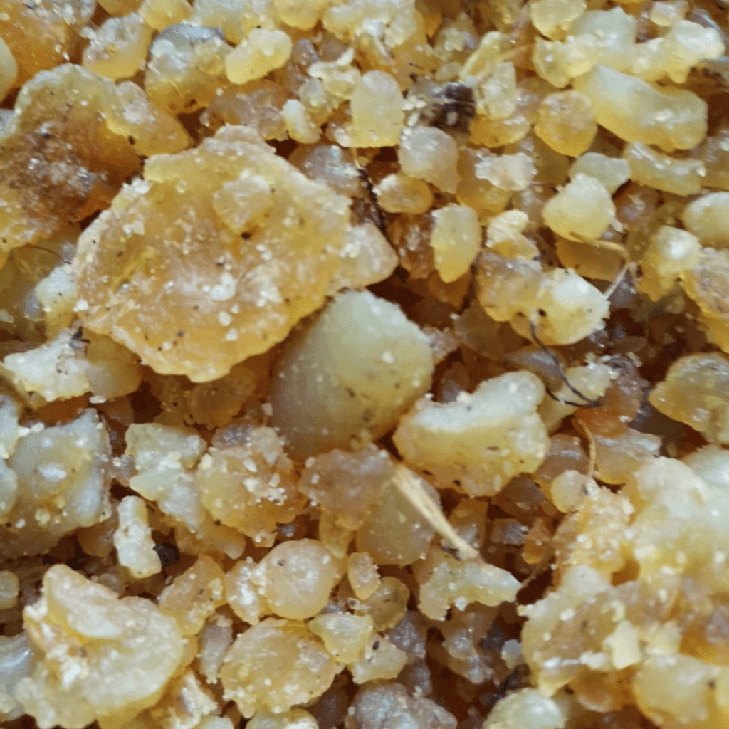 Ujbeki Asafoetida - image 1