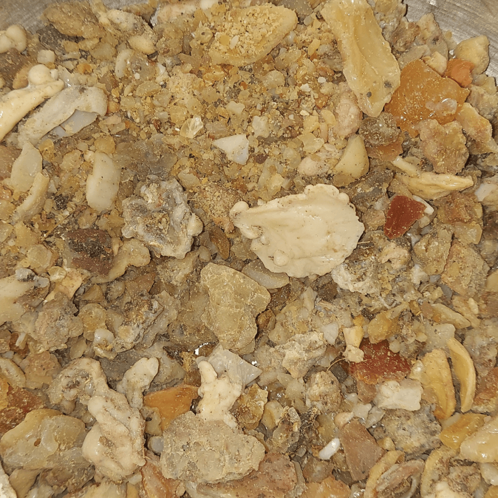 Ujbeki Asafoetida - image 2