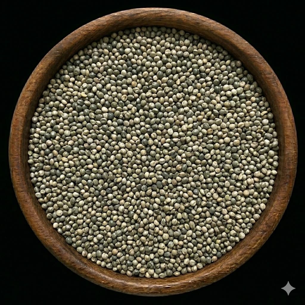 Bajra (Pearl Millet)