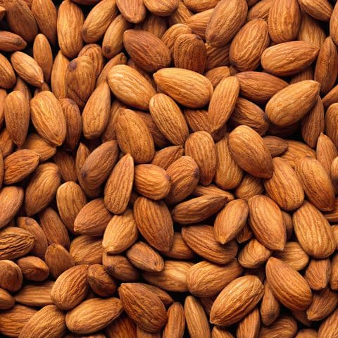 Almond Regular
