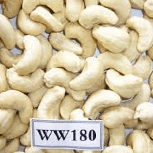 Cashew Jumbo w180