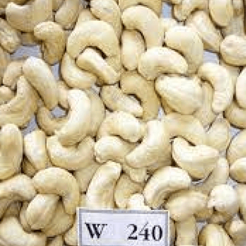 CASHEW MEDIUM W240