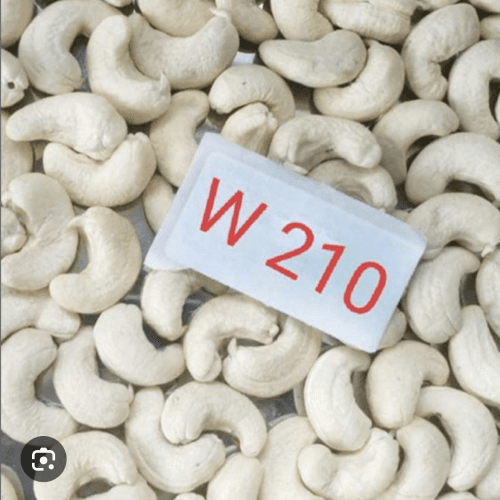 Cashew W210