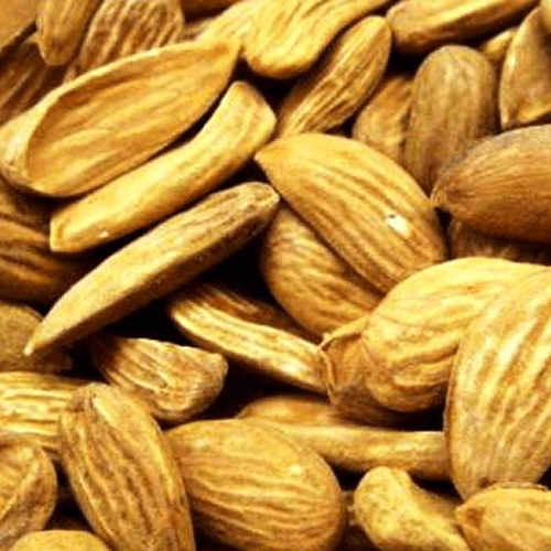 Mamra Almond (BOLD)