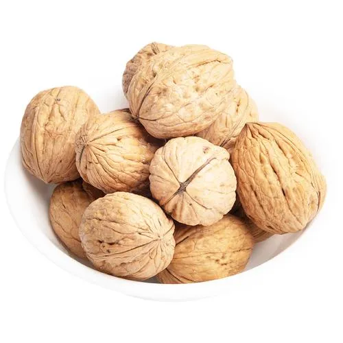 Walnut With Shell Premium